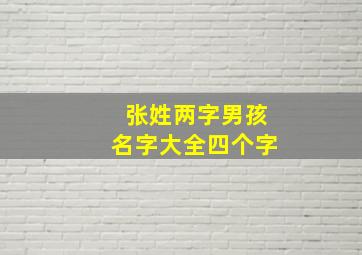 张姓两字男孩名字大全四个字