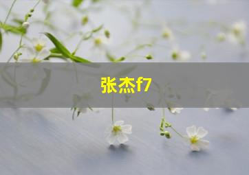 张杰f7