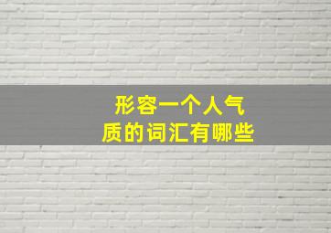 形容一个人气质的词汇有哪些