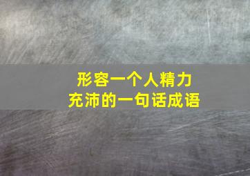 形容一个人精力充沛的一句话成语