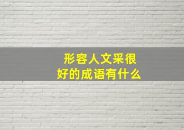 形容人文采很好的成语有什么