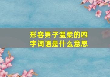 形容男子温柔的四字词语是什么意思