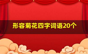 形容菊花四字词语20个