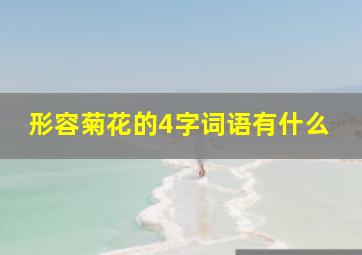 形容菊花的4字词语有什么