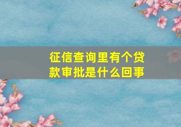 征信查询里有个贷款审批是什么回事