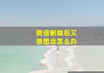 微信删除后又很想念怎么办