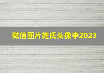 微信图片姓氏头像李2023