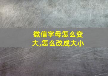 微信字母怎么变大,怎么改成大小