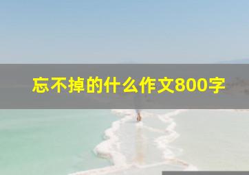 忘不掉的什么作文800字