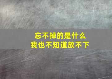 忘不掉的是什么我也不知道放不下