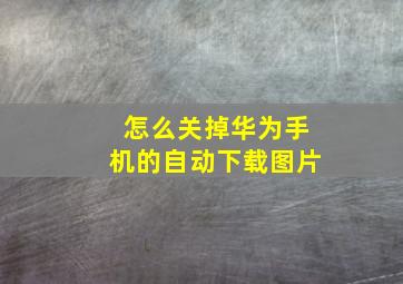 怎么关掉华为手机的自动下载图片