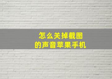 怎么关掉截图的声音苹果手机