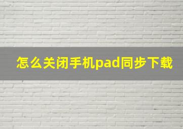 怎么关闭手机pad同步下载