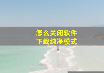 怎么关闭软件下载纯净模式