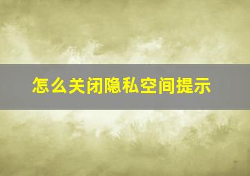 怎么关闭隐私空间提示