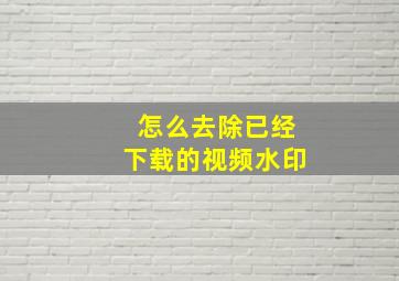 怎么去除已经下载的视频水印