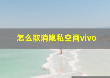 怎么取消隐私空间vivo