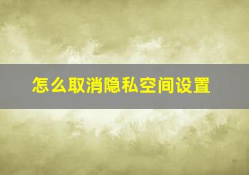 怎么取消隐私空间设置