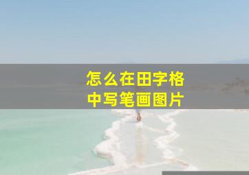 怎么在田字格中写笔画图片