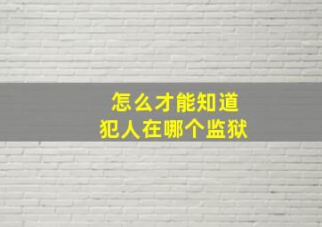 怎么才能知道犯人在哪个监狱