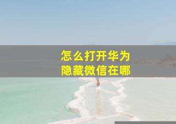 怎么打开华为隐藏微信在哪