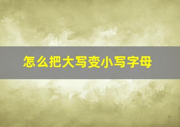 怎么把大写变小写字母