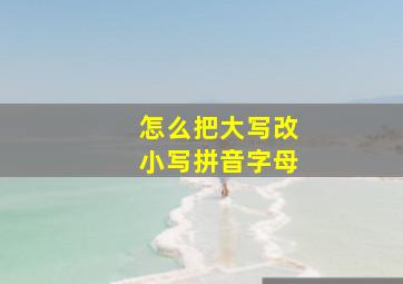 怎么把大写改小写拼音字母