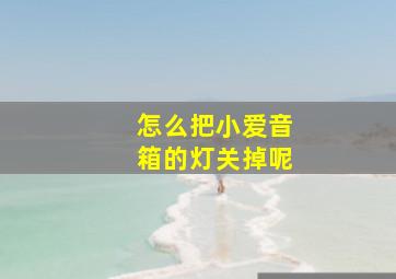 怎么把小爱音箱的灯关掉呢