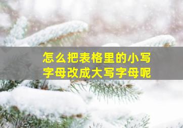 怎么把表格里的小写字母改成大写字母呢