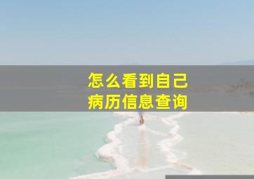 怎么看到自己病历信息查询