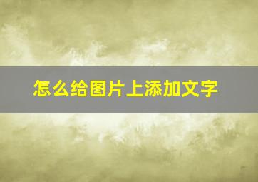 怎么给图片上添加文字