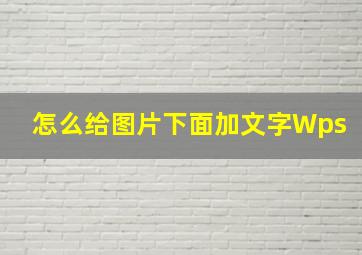 怎么给图片下面加文字Wps