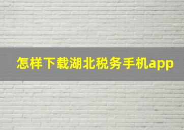 怎样下载湖北税务手机app