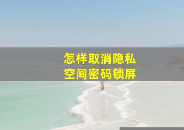 怎样取消隐私空间密码锁屏