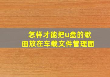 怎样才能把u盘的歌曲放在车载文件管理面