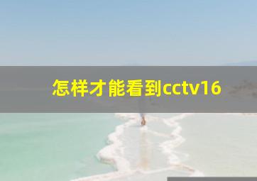 怎样才能看到cctv16