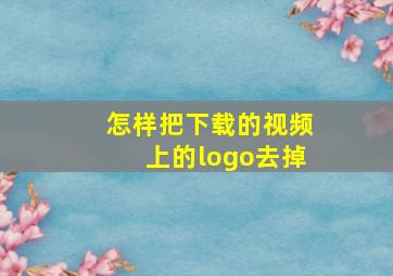 怎样把下载的视频上的logo去掉