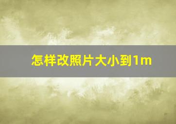 怎样改照片大小到1m