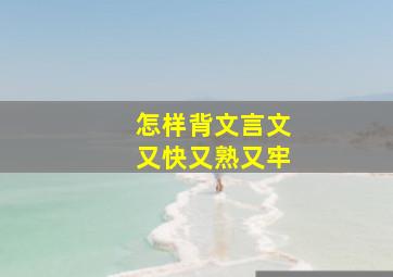 怎样背文言文又快又熟又牢