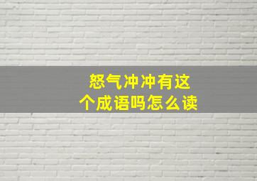 怒气冲冲有这个成语吗怎么读