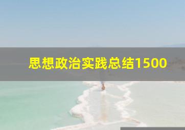 思想政治实践总结1500