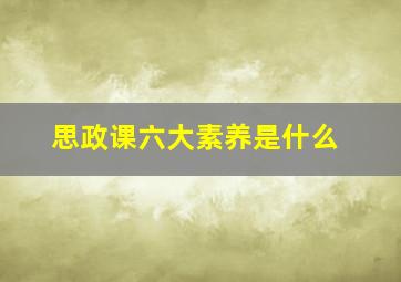 思政课六大素养是什么