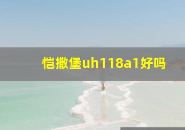 恺撒堡uh118a1好吗