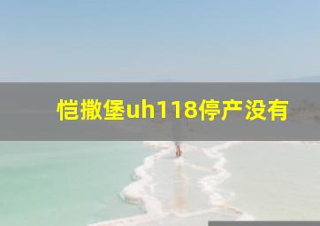 恺撒堡uh118停产没有