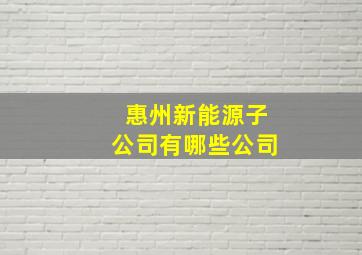 惠州新能源子公司有哪些公司