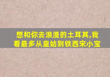 想和你去浪漫的土耳其,我看最多从皇姑到铁西宋小宝