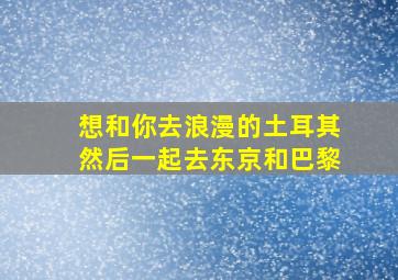 想和你去浪漫的土耳其然后一起去东京和巴黎