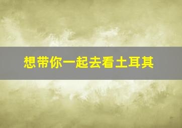 想带你一起去看土耳其