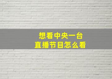 想看中央一台直播节目怎么看