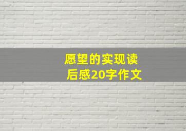 愿望的实现读后感20字作文